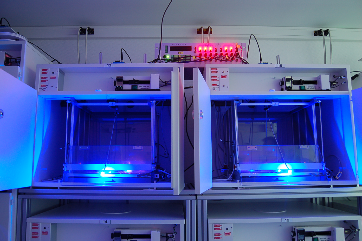 Equipment for optogenetic stimulation and animal behavior studies